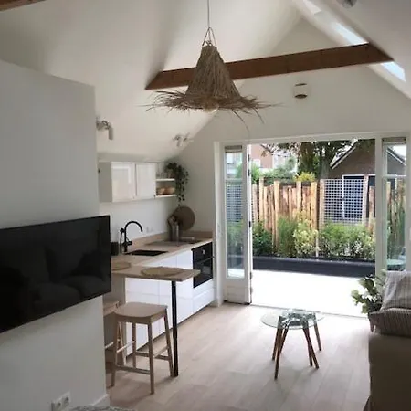 Dune Vieuw 펜션 잔드보르트